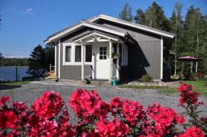 Hattapukki - Villa Himpula Sysmä